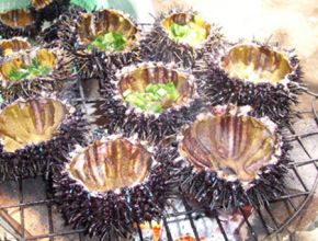 Cầu gai nướng mỡ hành