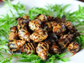 Ốc hương nướng