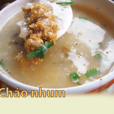 Cháo cầu gai